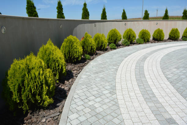 Best Concrete Paver Driveway  in Lehigh Acres, FL